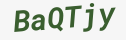 Enter these letters in the box below
