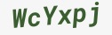 Enter these letters in the box below