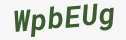 Enter these letters in the box below