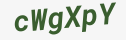 Enter these letters in the box below