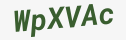 Enter these letters in the box below