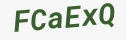 Enter these letters in the box below