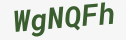 Enter these letters in the box below