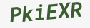 Enter these letters in the box below