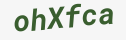 Enter these letters in the box below