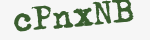 Enter these letters in the box below
