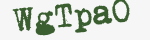 Enter these letters in the box below