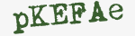 Enter these letters in the box below