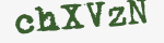 Enter these letters in the box below
