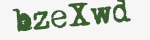 Enter these letters in the box below