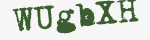 Enter these letters in the box below