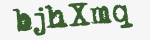 Enter these letters in the box below