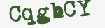 Enter these letters in the box below