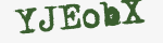 Enter these letters in the box below