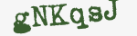 Enter these letters in the box below