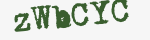 Enter these letters in the box below