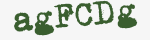 Enter these letters in the box below