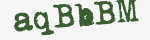 Enter these letters in the box below