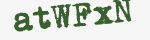 Enter these letters in the box below