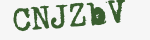 Enter these letters in the box below