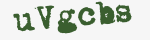 Enter these letters in the box below