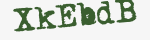 Enter these letters in the box below