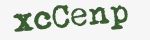 Enter these letters in the box below