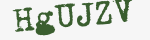 Enter these letters in the box below