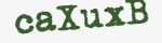 Enter these letters in the box below