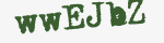 Enter these letters in the box below