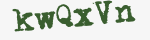 Enter these letters in the box below