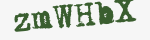 Enter these letters in the box below