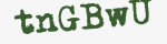 Enter these letters in the box below