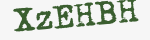 Enter these letters in the box below