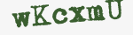 Enter these letters in the box below
