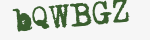 Enter these letters in the box below