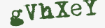 Enter these letters in the box below