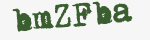 Enter these letters in the box below