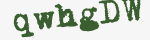 Enter these letters in the box below