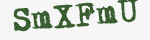 Enter these letters in the box below