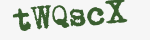 Enter these letters in the box below