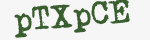 Enter these letters in the box below