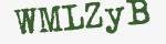Enter these letters in the box below