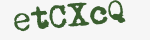 Enter these letters in the box below