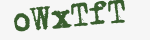 Enter these letters in the box below