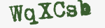 Enter these letters in the box below