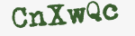 Enter these letters in the box below