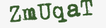 Enter these letters in the box below