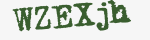 Enter these letters in the box below