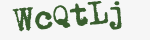 Enter these letters in the box below